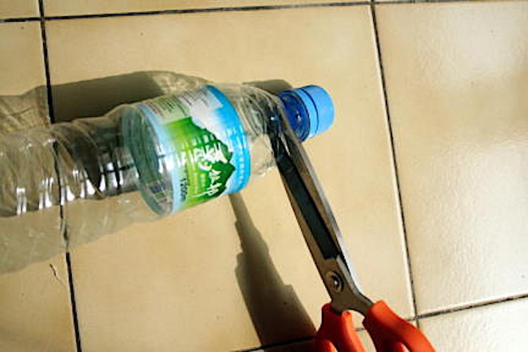 plastic bottle cap