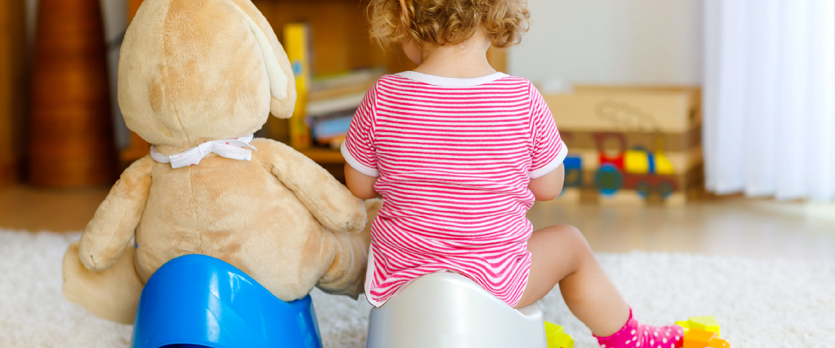 potty training with teddy bear