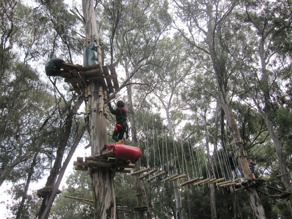 marvin high Acrobranch climbing higher