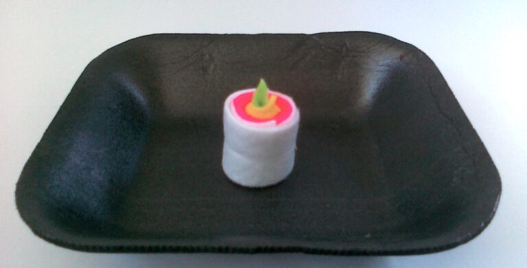 play food sushi