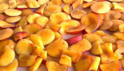 fruit
