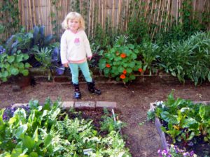 gardening