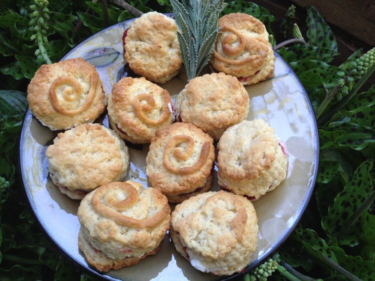 scones recipe by Nicole