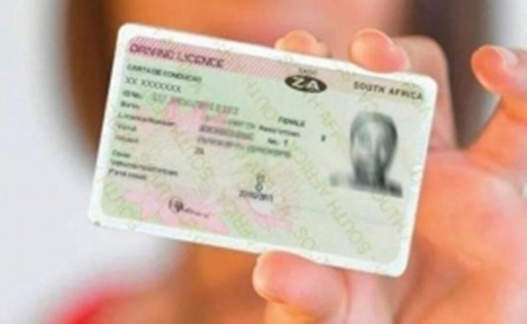 drivers license