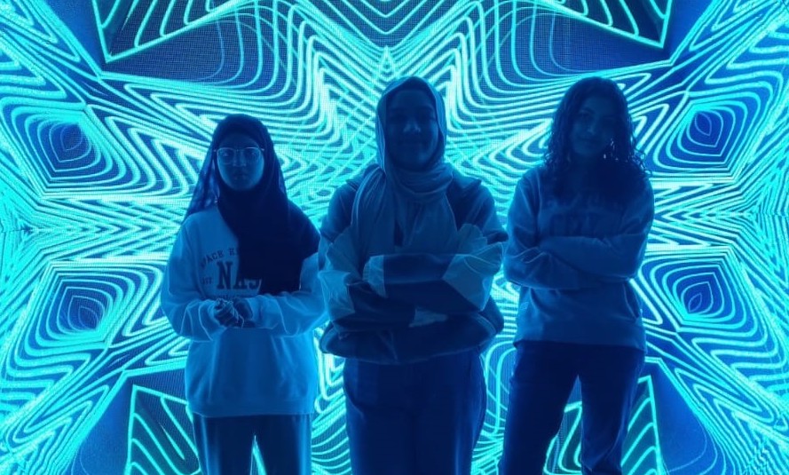 museum of illusions