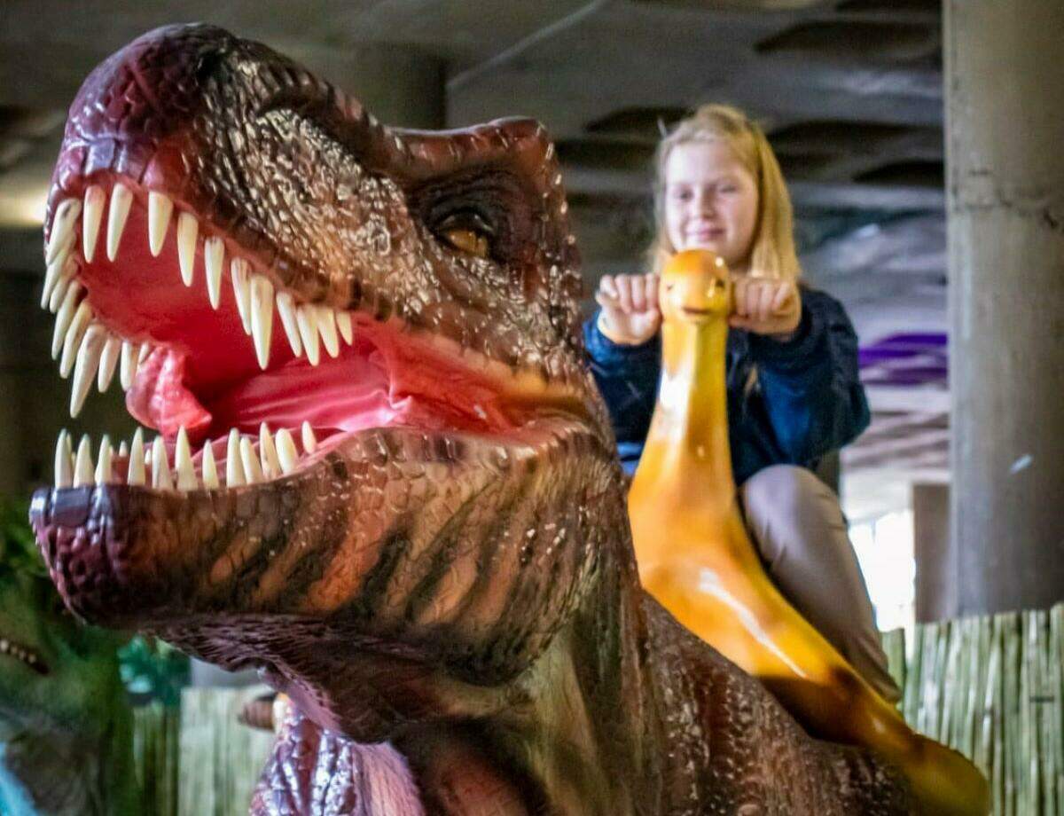 Dinosaur World Johannesburg dinosaur Expo in Sandton Jozikids